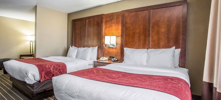 Hotel COMFORT SUITES DELAVAN - LAKE GENEVA AREA