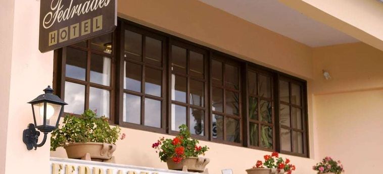 Fedriades Hotel  Delfi: Foto 
