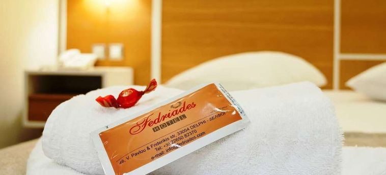 Fedriades Hotel :  DELPHI