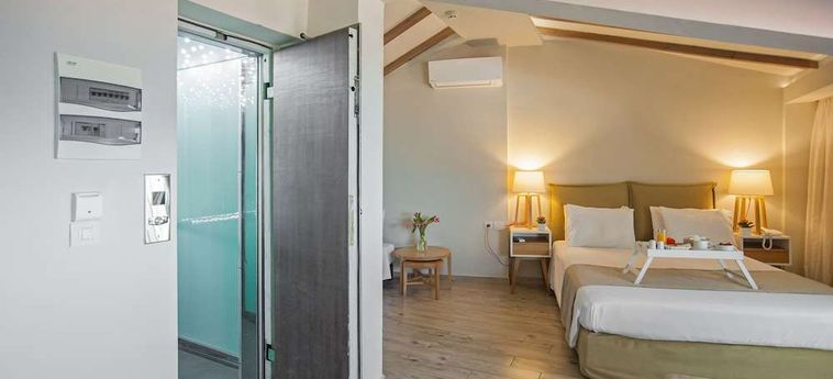 Fedriades Hotel :  DELPHI