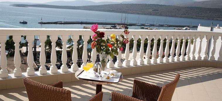 Hotel Nafsika Palace Delphi: Foto 