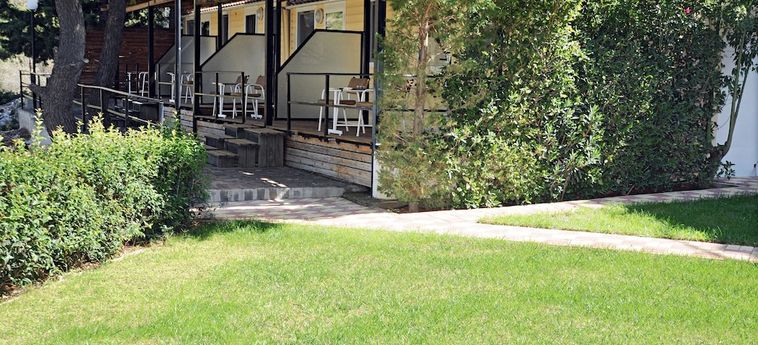 Hotel Chrissa Camping Rooms &Amp; Bungalows Delphi : Photo 