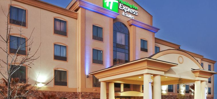 Hotel Holiday Inn Express & Suites Denton-Unt-Twu:  DENTON (TX)