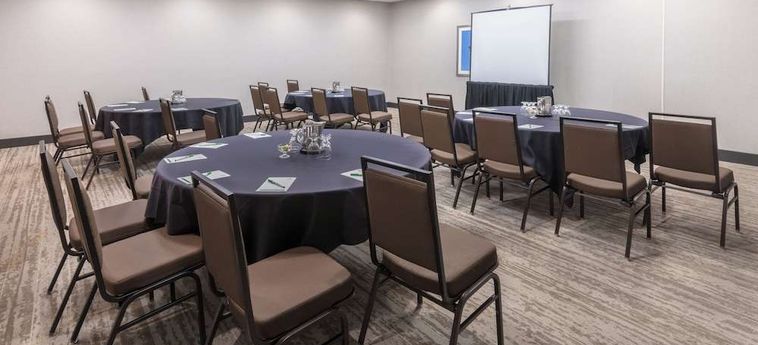 Hotel Holiday Inn Denver East - Stapleton Denver (Co): Foto 