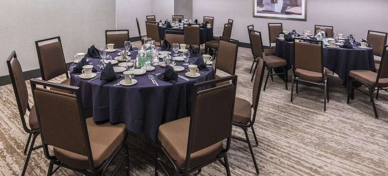 Hotel Holiday Inn Denver East - Stapleton Denver (Co): Foto 