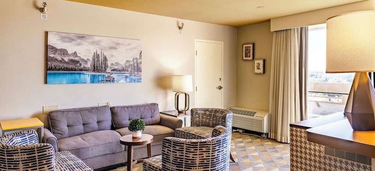 Hotel Holiday Inn Denver East - Stapleton Denver (Co): Foto 