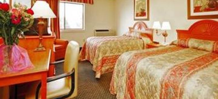Hotel Comfort Inn & Suites:  DENVER (CO)
