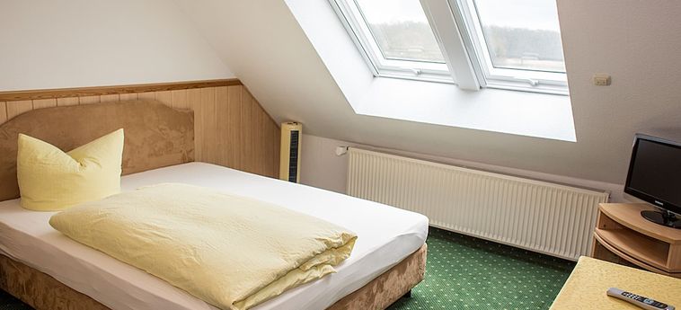 Hotel Elbterrassen Zu Brambach Dessau: Foto 