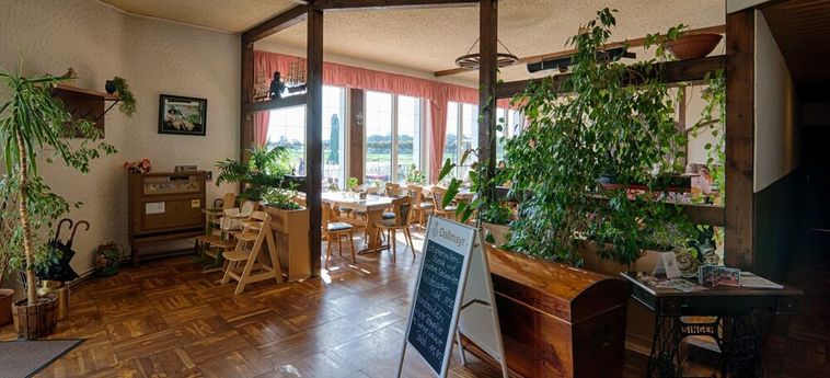 Hotel Elbterrassen Zu Brambach Dessau: Foto 
