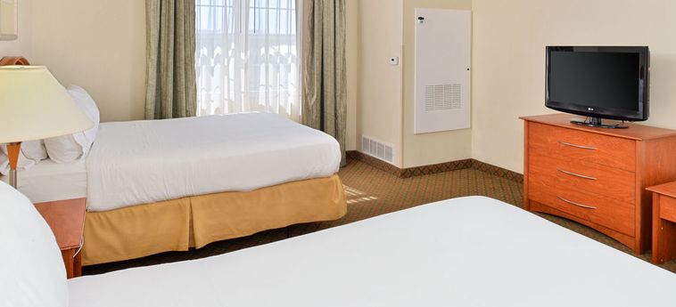 Hotel Holiday Inn Express & Suites Southfield - Detroit:  DETROIT (MI)