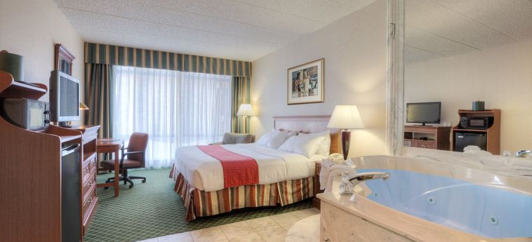 Hotel Holiday Inn Southgate (Detroit-South):  DETROIT (MI)