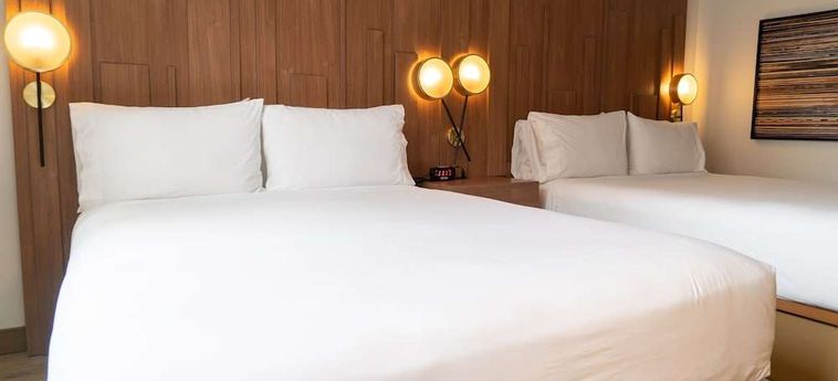 Hotel Indigo Detroit Downtown Detroit (Mi) : Photo 