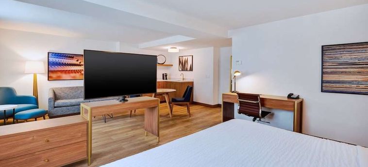 Hotel Indigo Detroit Downtown Detroit (Mi) : Photo 