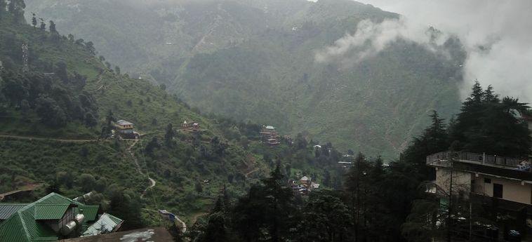 Hotel Forest Hill Dharamshala: Foto 