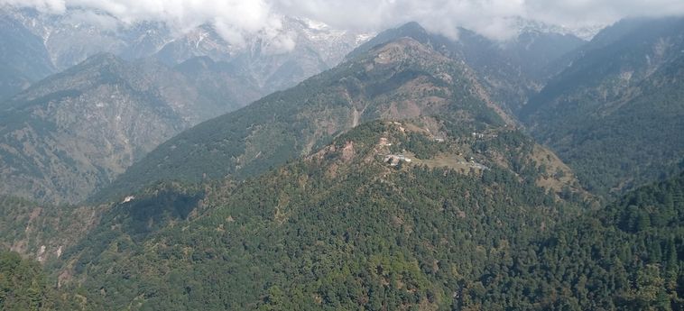 Hotel Dragon I Resorts Dharamshala : Photo 