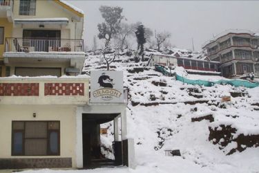 Hotel Dragon I Resorts Dharamshala: Photo 