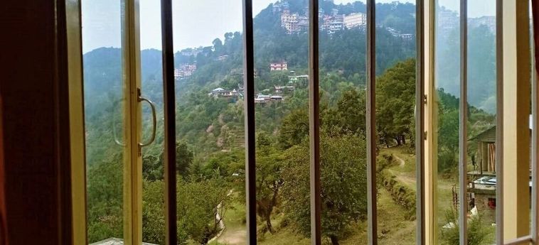 Hotel Triund Camps Riverside Resort Dharamshala: Foto 