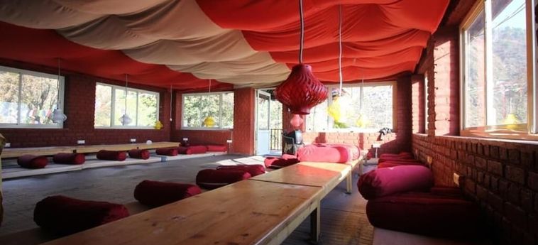 Hotel Triund Camps Riverside Resort Dharamshala : Photo 