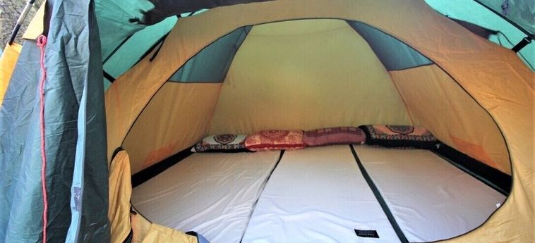 Hotel Triund Camps Riverside Resort Dharamshala : Photo 