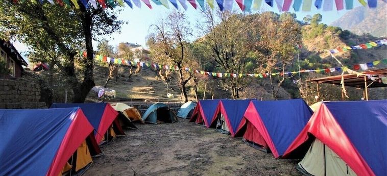 Hotel Triund Camps Riverside Resort Dharamshala : Photo 