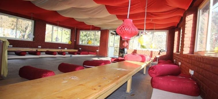 Hotel Triund Camps Riverside Resort Dharamshala : Photo 