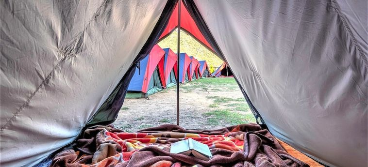 Hotel Triund Camps Riverside Resort Dharamshala: Foto 