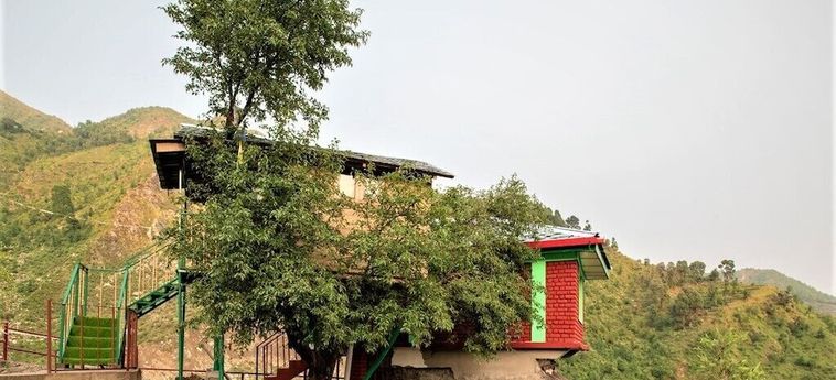 Hotel Triund Camps Riverside Resort Dharamshala: Foto 