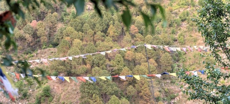 Hotel Triund Camps Riverside Resort Dharamshala: Foto 