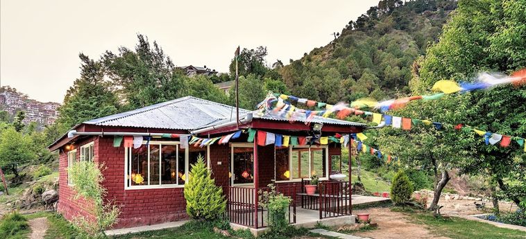 Hotel Triund Camps Riverside Resort Dharamshala: Foto 