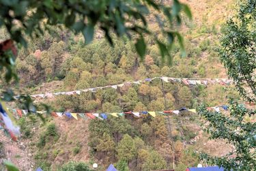 Hotel Triund Camps Riverside Resort Dharamshala: Photo 
