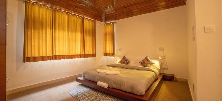 Hotel Alt Life - Dharamkot Dharamshala : Photo 