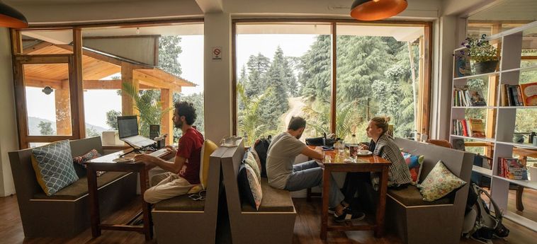 Hotel Alt Life - Dharamkot Dharamshala : Photo 