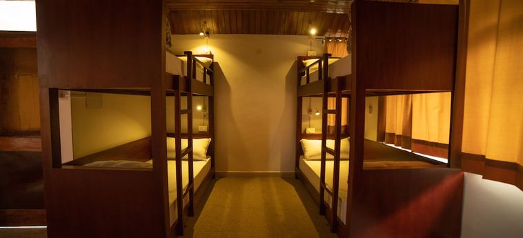 Hotel Alt Life - Dharamkot Dharamshala : Photo 