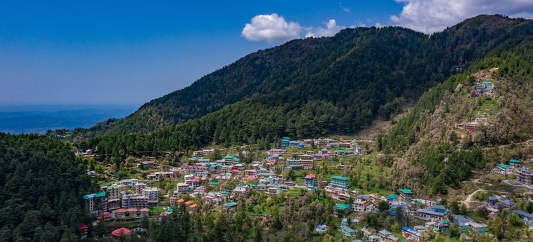 Hotel Alt Life - Dharamkot Dharamshala : Photo 