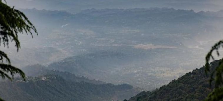 Hotel Alt Life - Dharamkot Dharamshala : Photo 