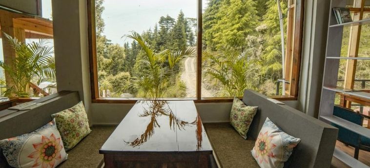 Hotel Alt Life - Dharamkot Dharamshala: Foto 