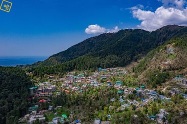 Hotel Alt Life - Dharamkot Dharamshala: Photo 