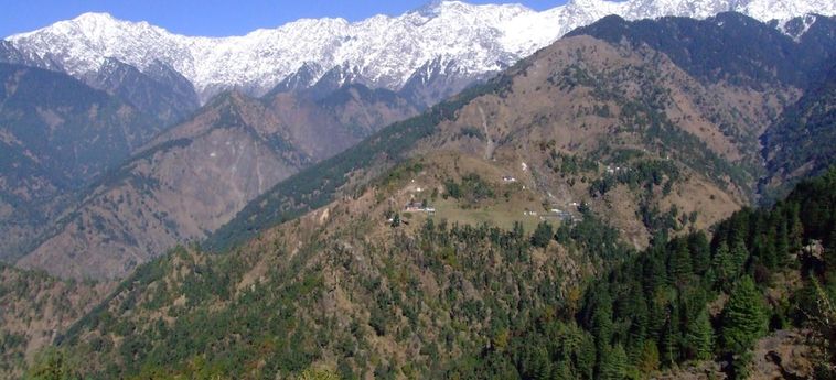 Hotel Ekant Lodge Dharamshala: Foto 