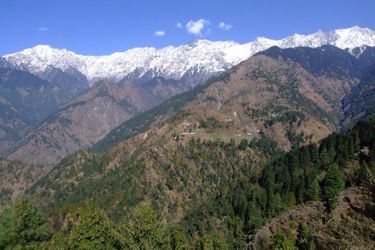 Hotel Ekant Lodge Dharamshala: Photo 