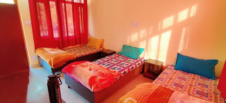 Hotel Hipostel Naddi Dharamshala : Photo 