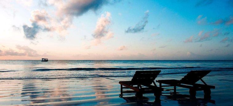 Hotel Neptune Paradise Beach Resort &Amp; Spa Diani Beach - Kwale County : Photo 