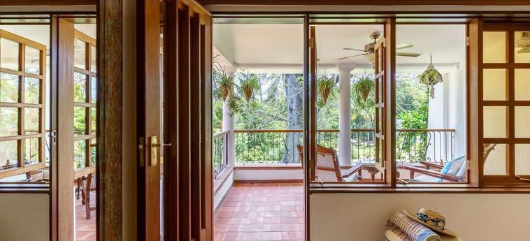 Hotel Lazy Days Diani Beach - Kwale County : Photo 