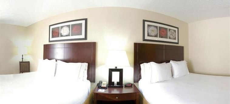 Hotel Holiday Inn Express & Suites Dickson:  DICKSON (TN)