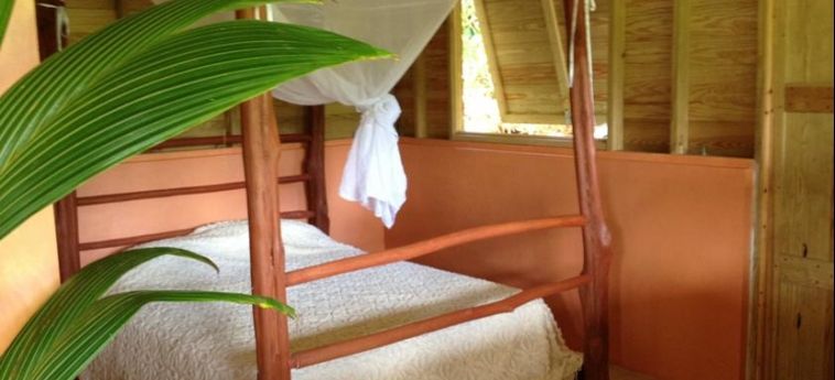 Roots Jungle Retreat:  DOMINICA