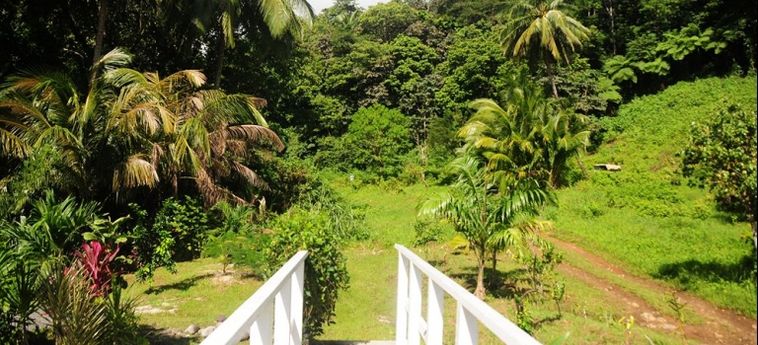 Hotel Citrus Creek Plantation:  DOMINICA