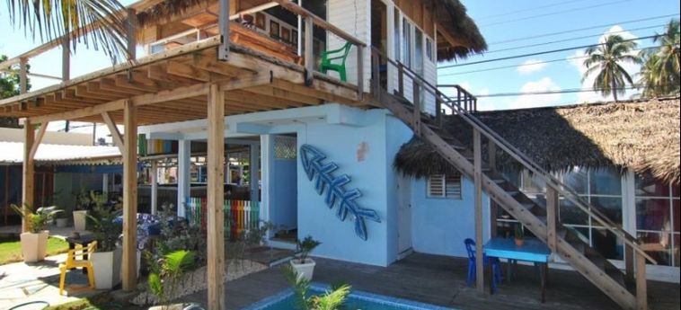 Cabarete Beach Hostel:  DOMINICAN REPUBLIC
