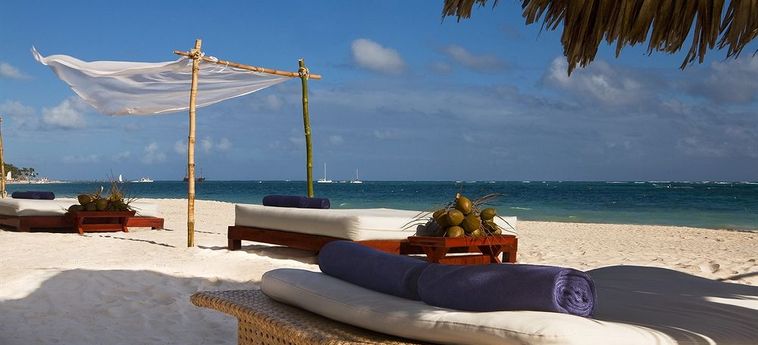 Hotel The Level Melia Caribe Beach Resort - Adults Only:  DOMINICAN REPUBLIC