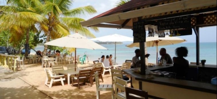 Hotel Playa Caribe:  DOMINIKANISCHE REPUBLIK