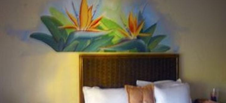 Hotel Natalie Villa At Terramar Estates:  DOMINIKANISCHE REPUBLIK
