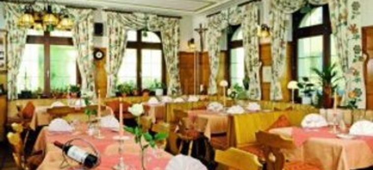 Hotel Restaurant Zum Hirschen:  DONAUESCHINGEN